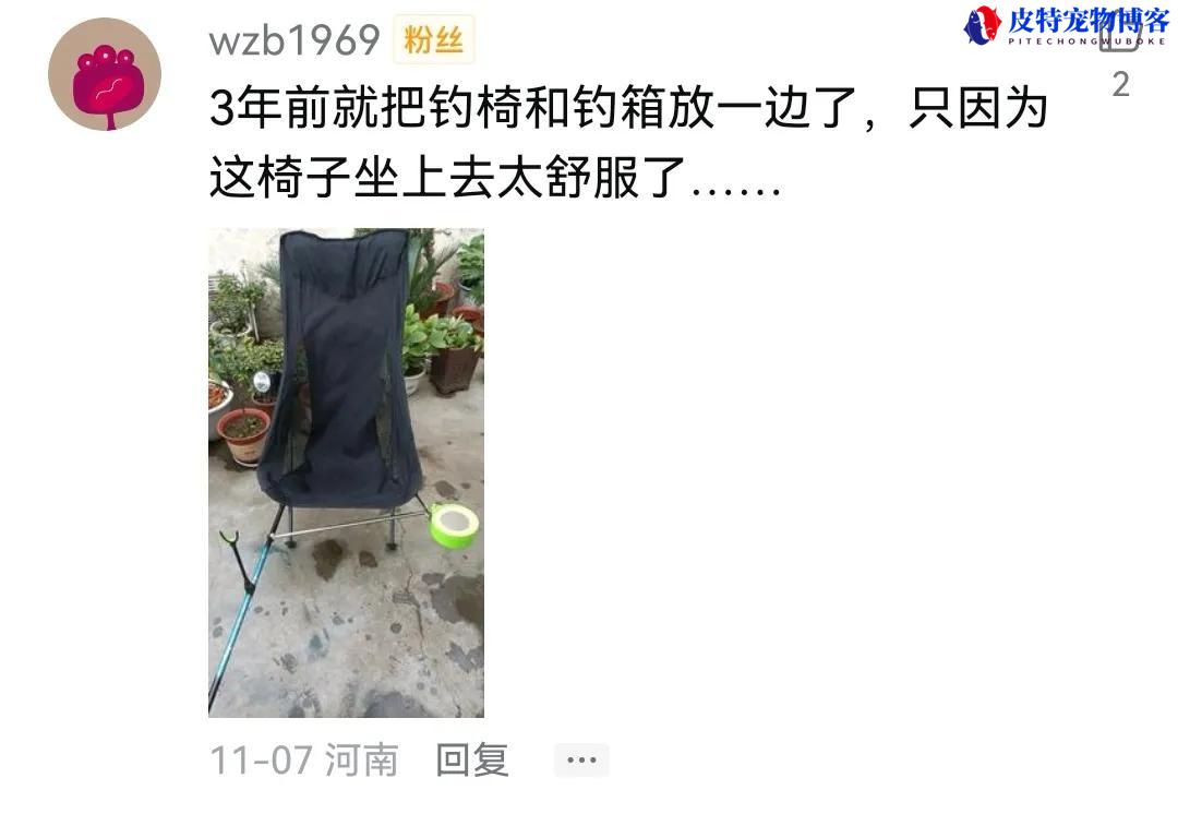 钓椅钓鱼椅新款户外，怎么使用，实用吗，什么样的钓椅最实用又好用