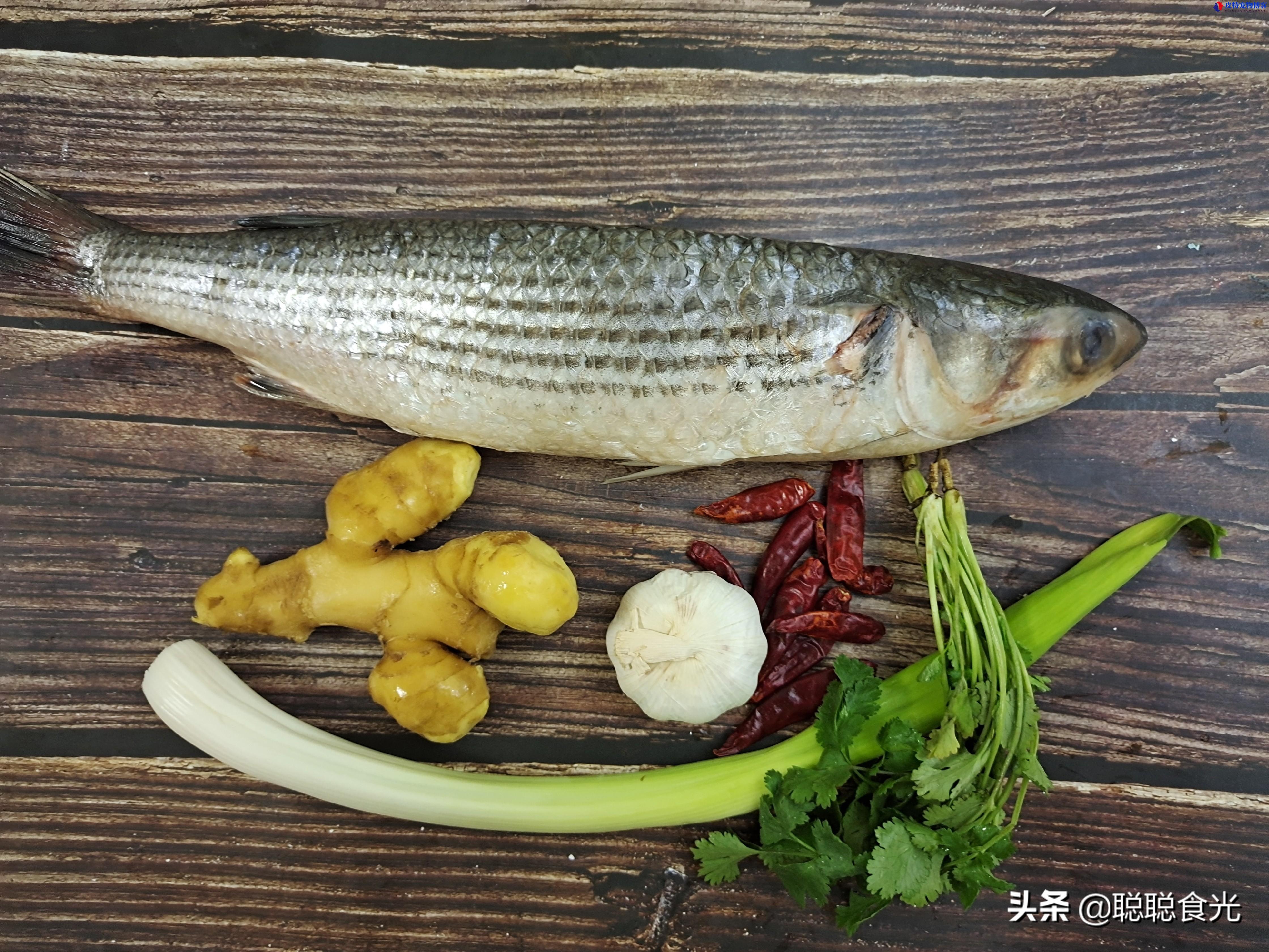 梭鱼是海鱼还是淡水鱼怎样吃好，海鱼比淡水鱼好吃吗