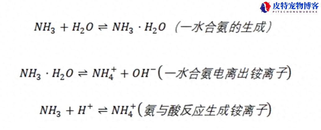 硝化菌在鱼缸中起什么作用，能直接倒入鱼缸中吗，加入后鱼缸变化