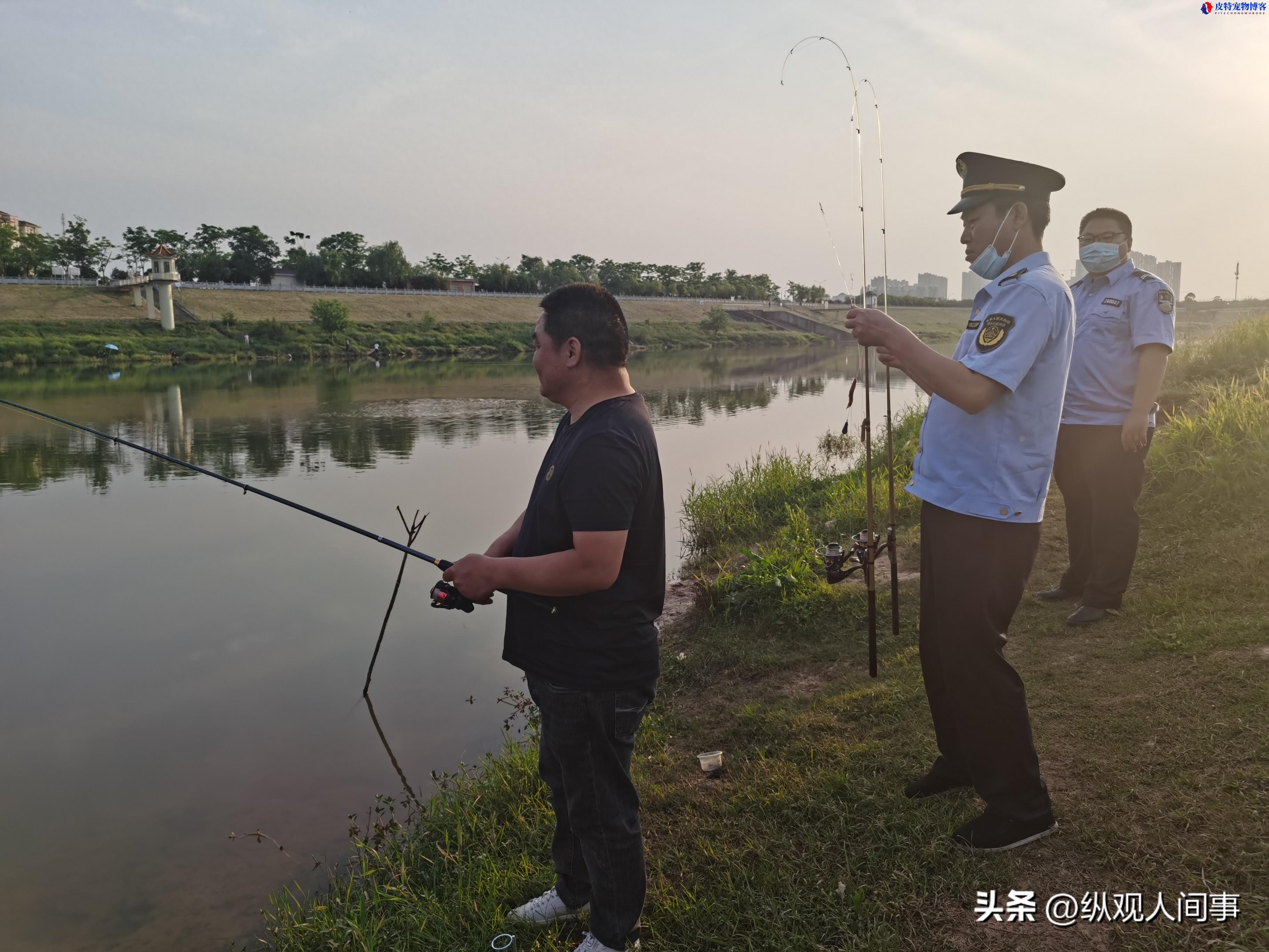 钓鱼黑幕大揭秘：对泥鳅恶行的致命影响！