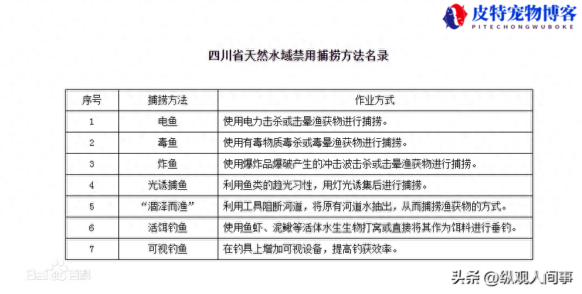 钓鱼黑幕大揭秘：对泥鳅恶行的致命影响！