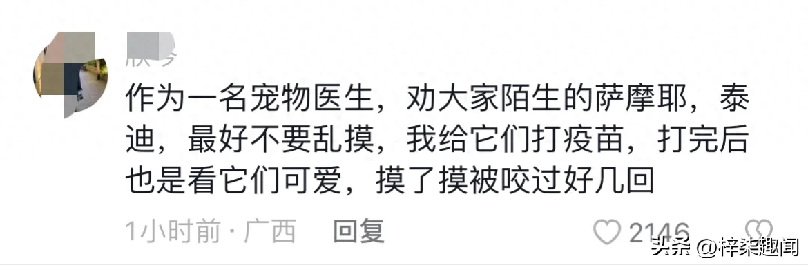 江苏母女遭狗撕咬,街头安全事故勾起责任大讨论!