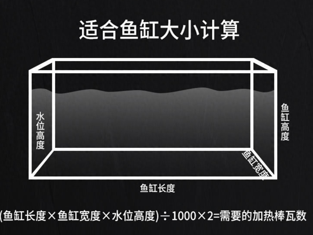 极火虾水温多少度合适，极火虾的正确饲养方法