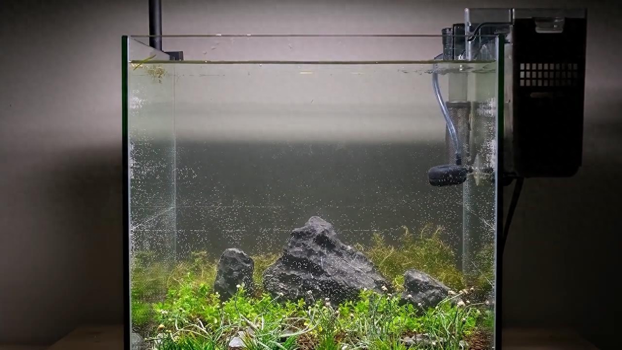 水族箱造景相关知识教程，草缸造景技巧和方法图解