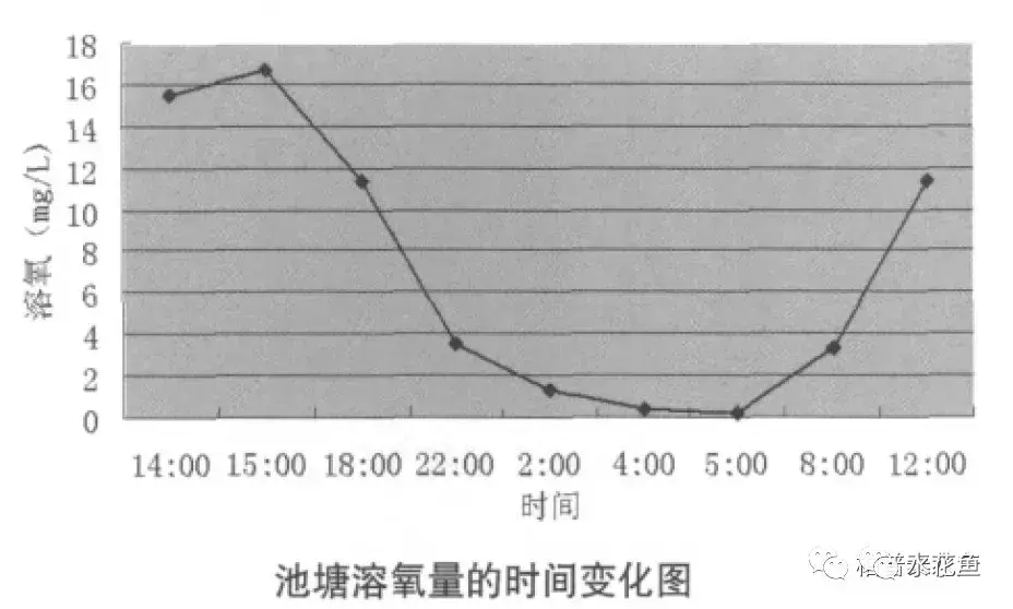 水中是否含有氧气（浅析水体中的溶解氧含量）