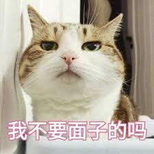 猫咪的胡须可以剪吗，还能长出来吗，给猫剪胡子有什么后果