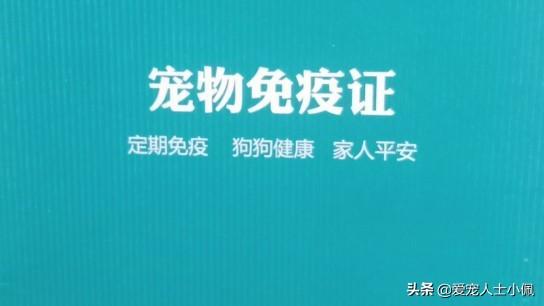 幼猫体内驱虫后多久可以打一次疫苗，猫第一次打疫苗后需要注意什么