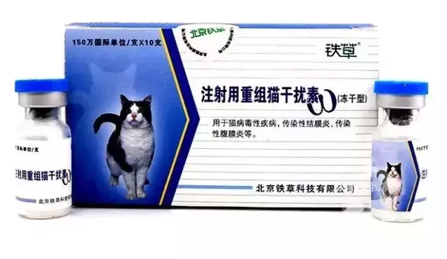 猫瘟洗几次衣服能洗干净，病毒洗的掉吗，猫瘟严重的状态什么样