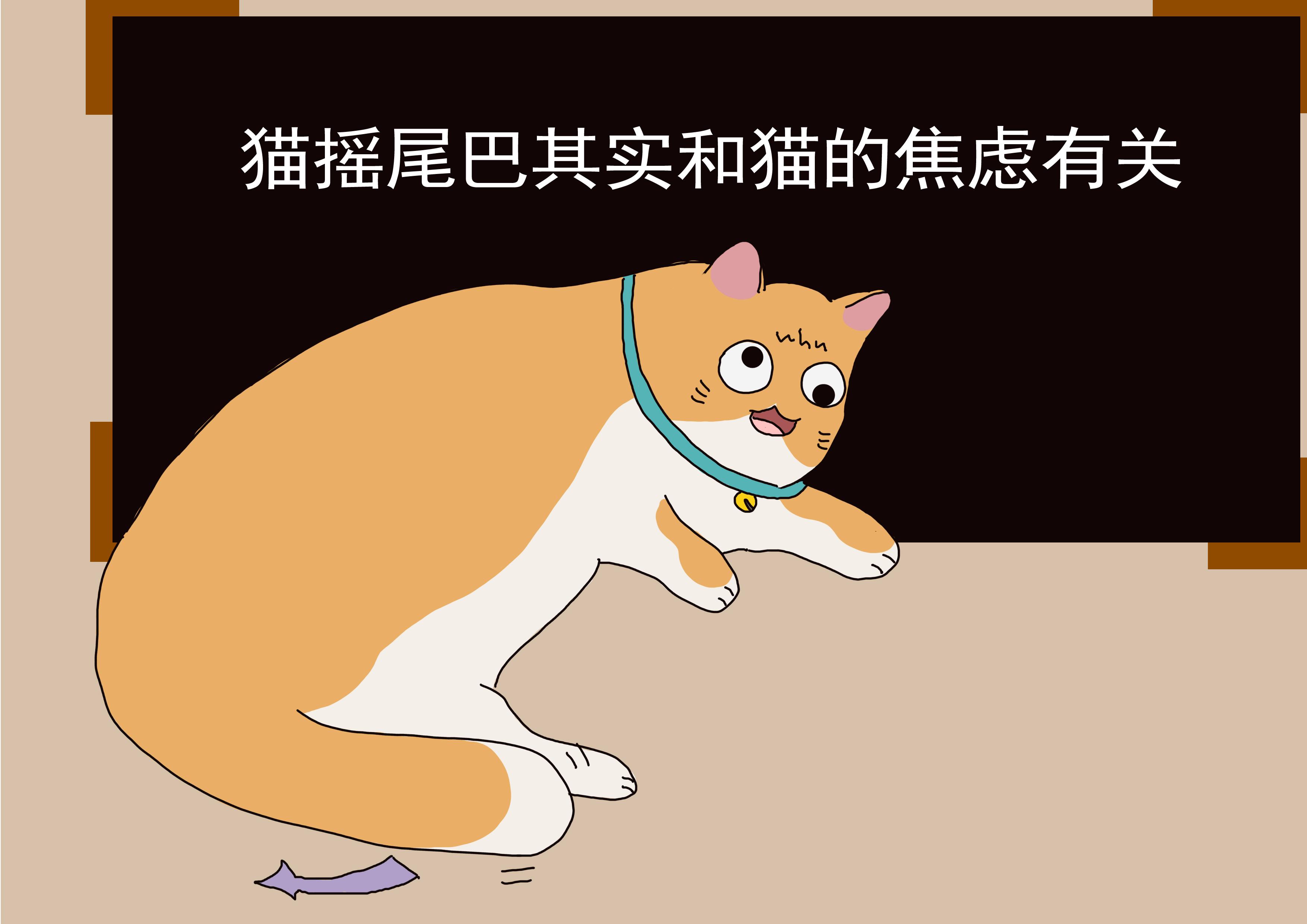 猫的尾巴一直摇来摇去是什么意思，猫咪的尾巴摇来摇去是不是心情好