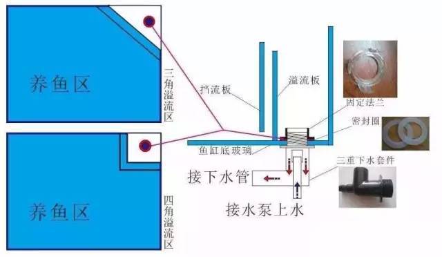 底滤鱼缸工作原理图解说明，背滤鱼缸怎么提高过滤效果