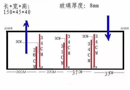 底滤鱼缸工作原理图解说明，背滤鱼缸怎么提高过滤效果