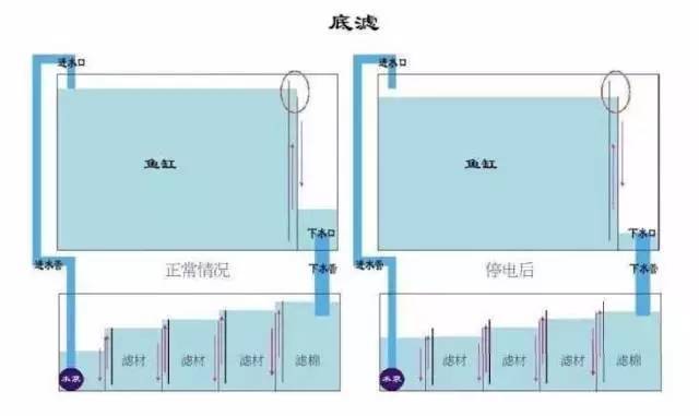 底滤鱼缸工作原理图解说明，背滤鱼缸怎么提高过滤效果