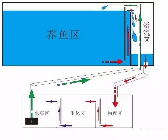 底滤鱼缸工作原理图解说明，背滤鱼缸怎么提高过滤效果