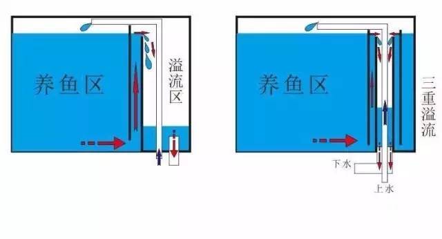 底滤鱼缸工作原理图解说明，背滤鱼缸怎么提高过滤效果