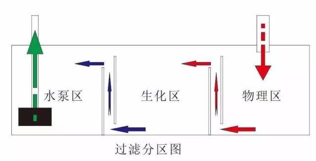 底滤鱼缸工作原理图解说明，背滤鱼缸怎么提高过滤效果