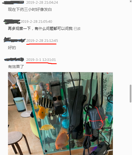 鱼缸水发黄的解决办法是什么，鱼缸水黄的原因和解决办法