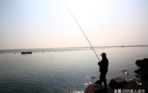 出海钓鱼那天好钓吗，海钓什么潮汐鱼情最好