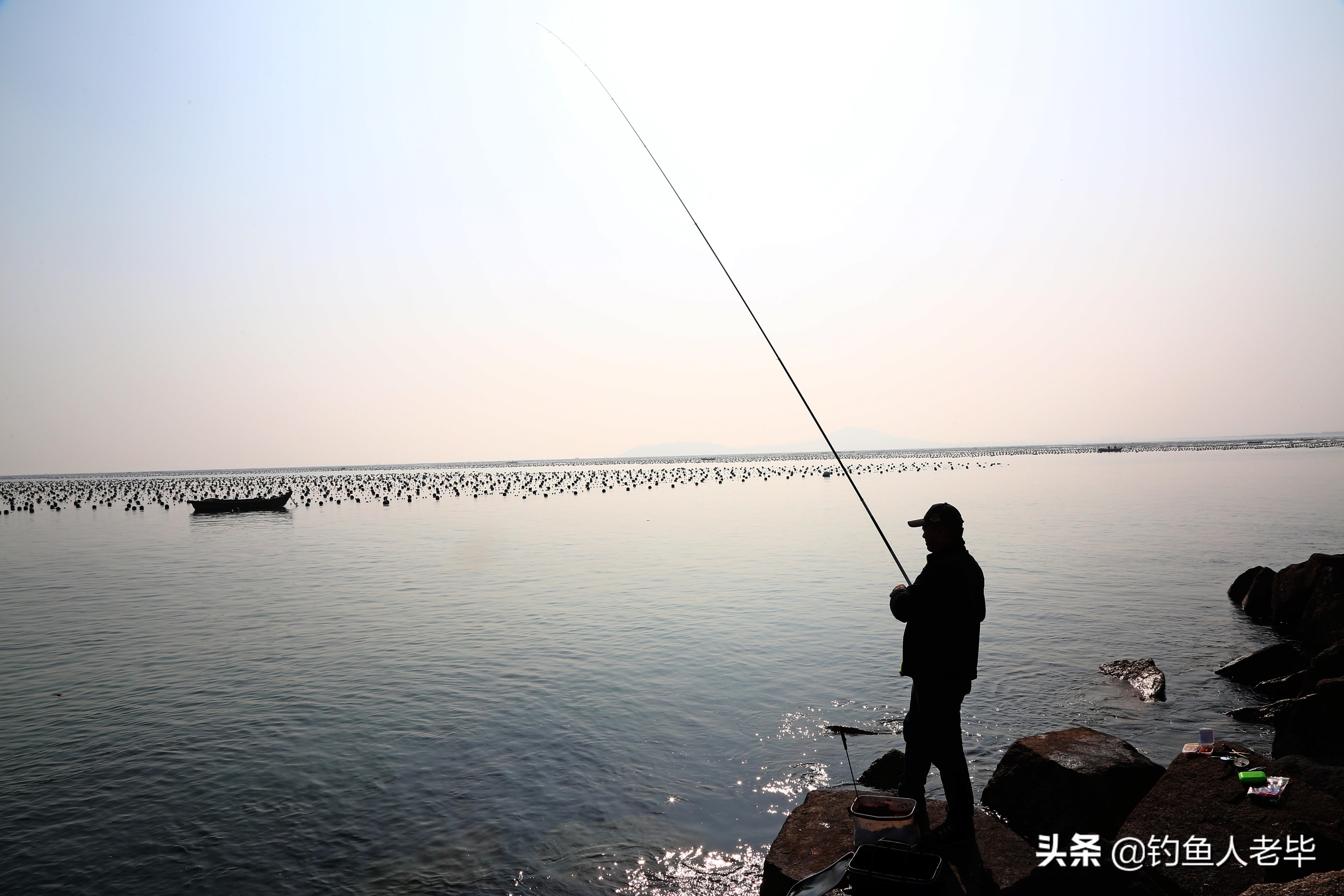 出海钓鱼那天好钓吗，海钓什么潮汐鱼情最好