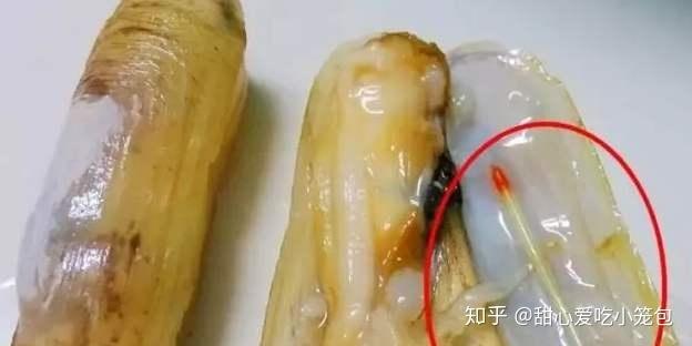 蛏子是海鲜还是河鲜？（探讨蛏子的来源及其适宜食用区域。）