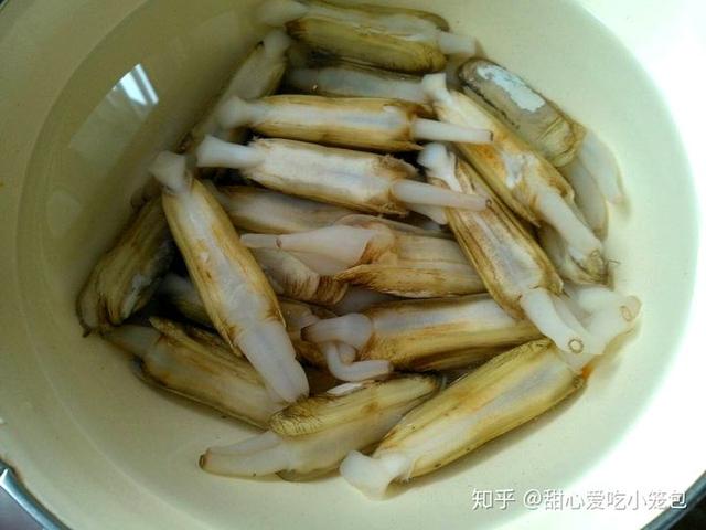 蛏子是海鲜还是河鲜？（探讨蛏子的来源及其适宜食用区域。）