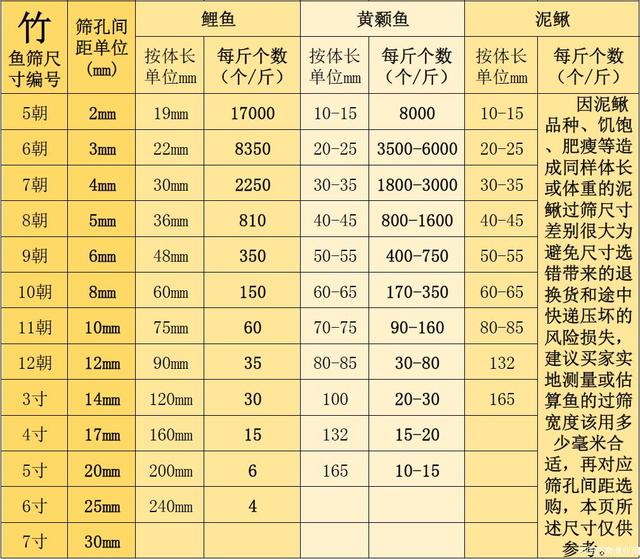 小鱼的成长周期（小鱼成长的时间周期）