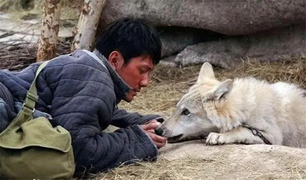 狗的寿命能活多少年，犬的平均寿命是多少岁