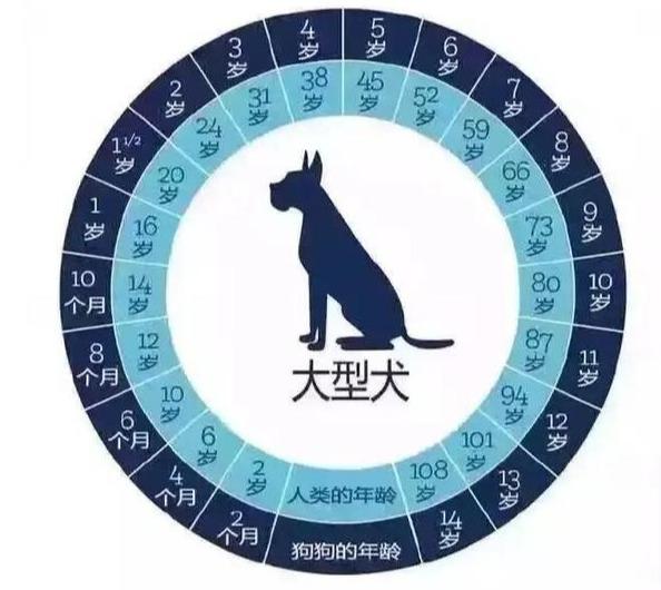 德国牧羊犬的寿命，牧羊犬的寿命