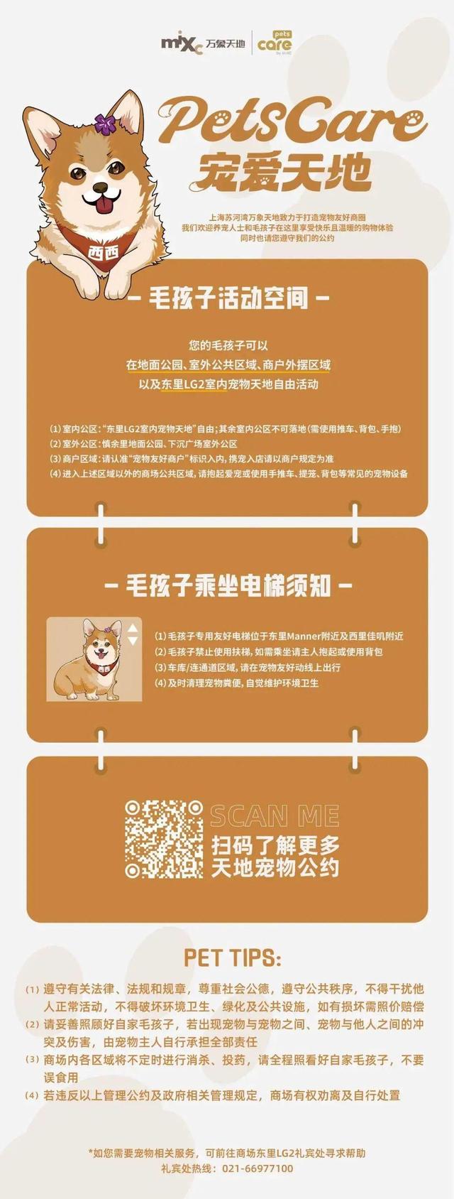 上海幼犬市场，宠物犬买卖地点