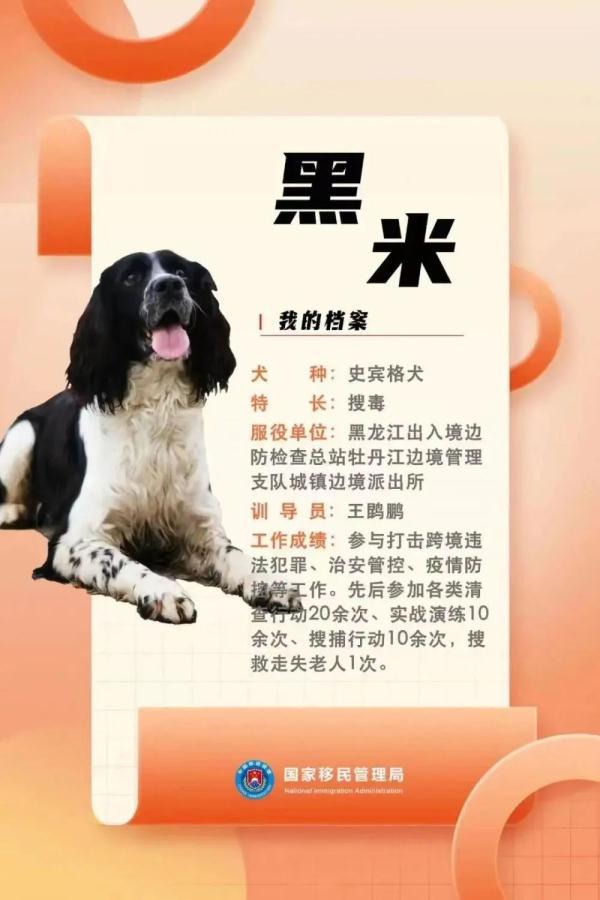 中国十大功勋犬，功勋犬品种排名