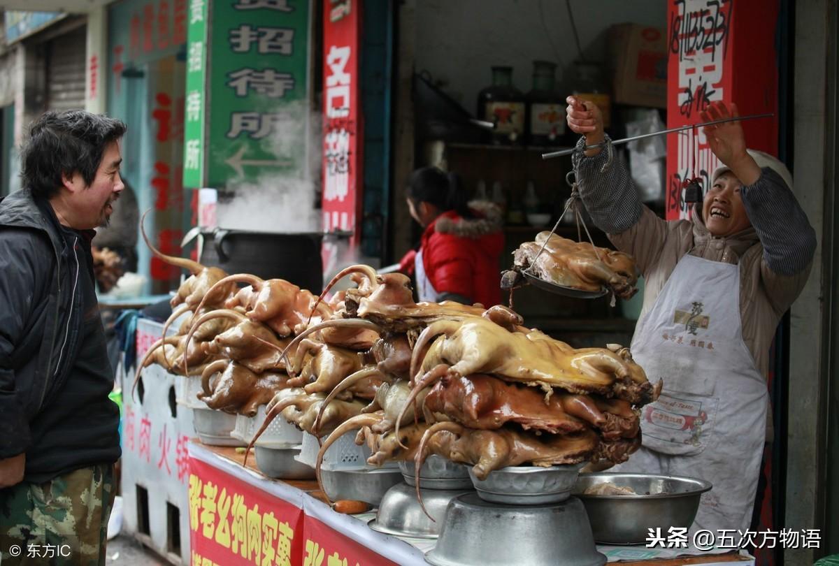 什么狗长得快适合做肉狗品种，长得快的猎犬适合肉狗