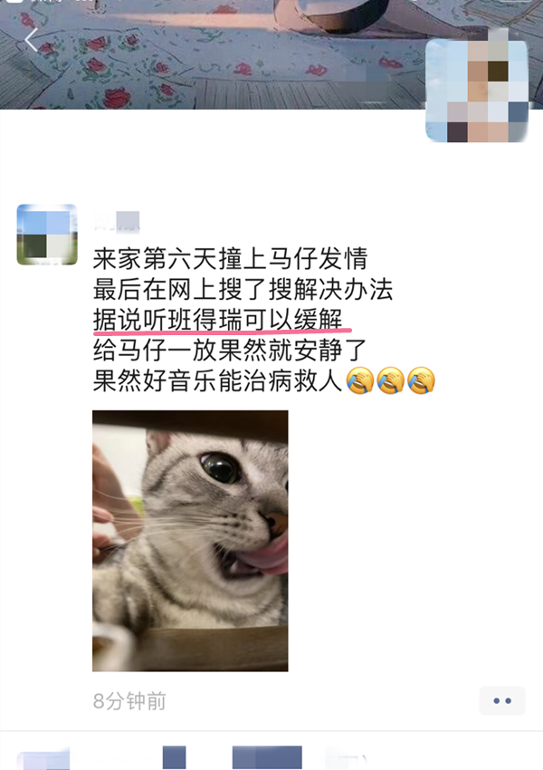 抑制猫咪发情的药好使嘛,哪个好（了解控制猫咪发情的常用药物）