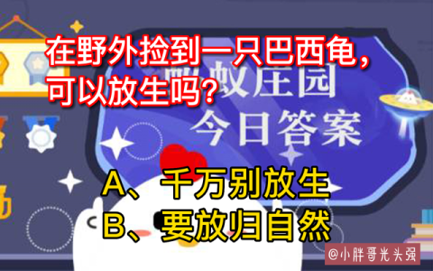 宠物巴西龟可以放生吗有讲究吗,巴西龟怎么放生才正确又简单