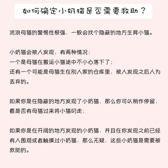 刚出生的小猫几天过危险期，怎么排便，没有母猫怎么养