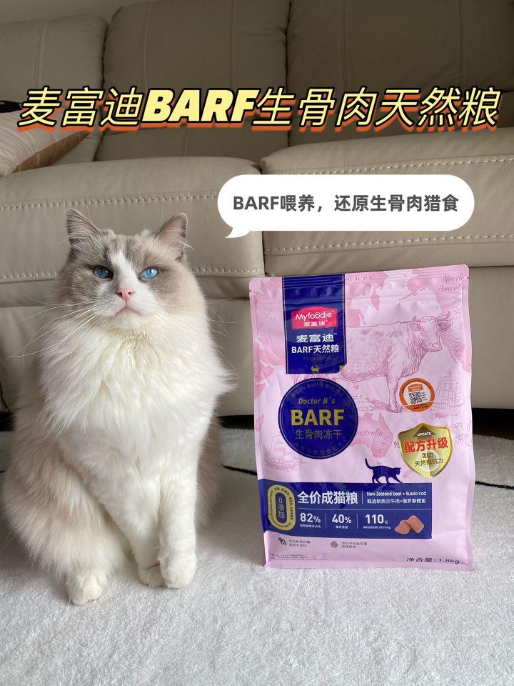 猫咪拉粑粑有血是怎么回事,肠道问题应对策略（专业解读猫肠道问题）