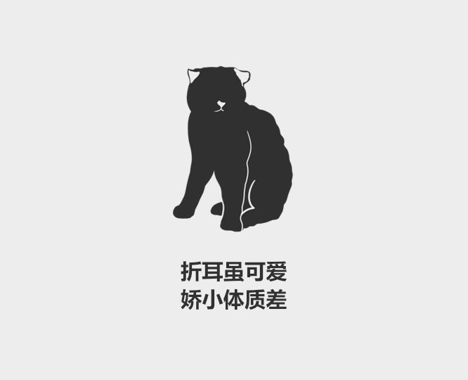 折耳猫有什么缺陷,一定会发病吗,寿命一般多少年,是天生的还是人为的