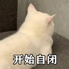 猫咪应激反应的表现什么时候开始,怎么缓解,怎么安抚