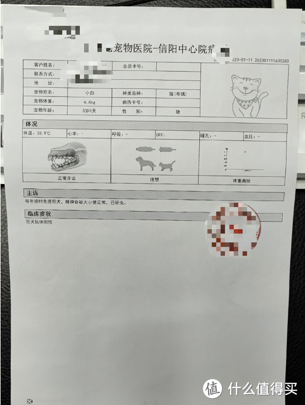 小型宠物狗可以上高铁吗，航空公司怎么托运宠物