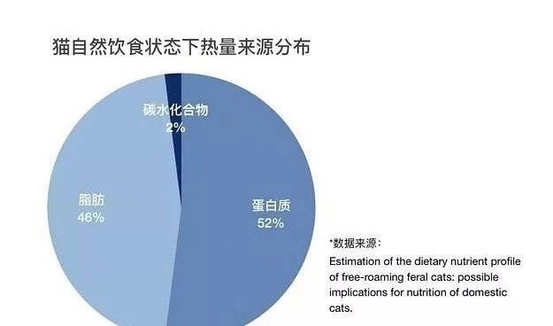 狗粮猫可以吃吗（从营养需求出发，教你宠物食品的选择）