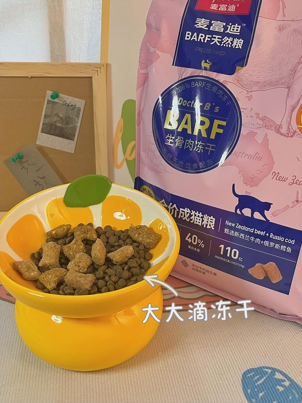 家猫的寿命多少年（介绍宠物寿命与健康管理）