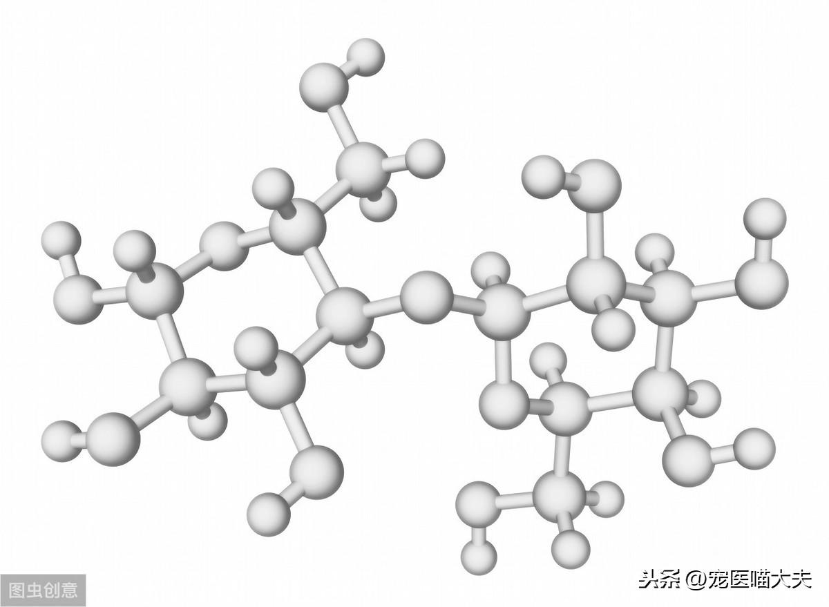 宠物狗能喝纯牛奶吗，小狗可以喝牛奶不吃狗粮吗