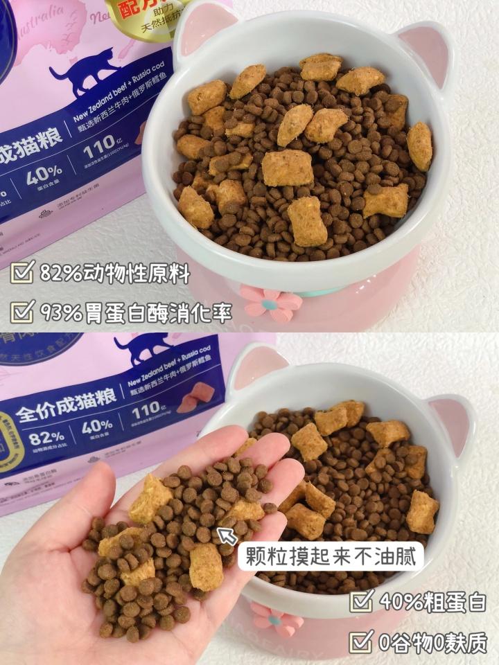 猫咪舔了体外驱虫药有危险吗？如何避免这种情况？(猫咪药品使用注意事项)