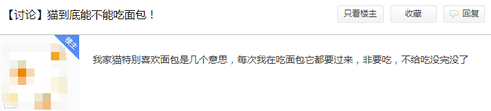 两个月小猫可以吃面包吗？（探究猫咪饮食偏好和适宜食物）