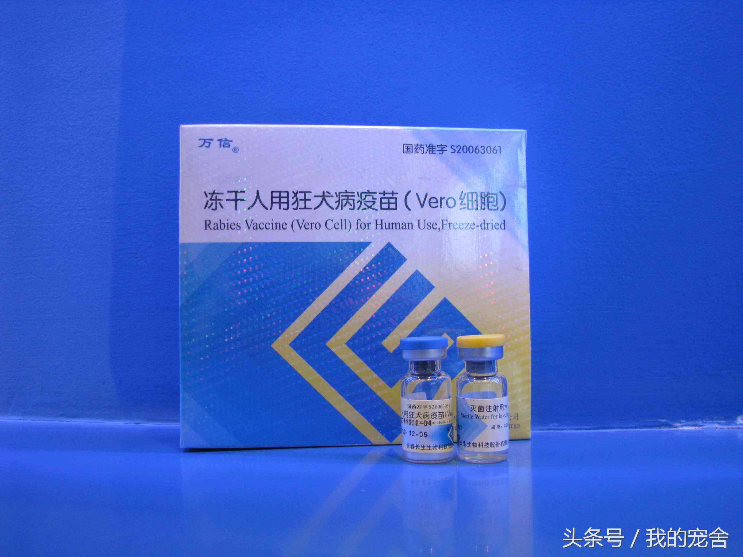 携带狂犬病的狗能活多久会死，狂犬病的狗有什么症状能活几天