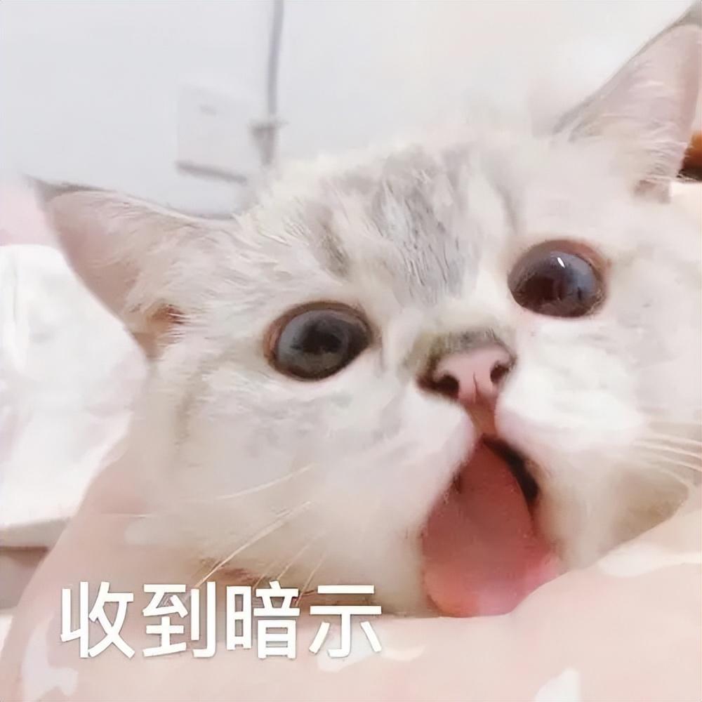 小奶猫拉稀了是怎么回事精神不佳，怎么办，能自愈吗