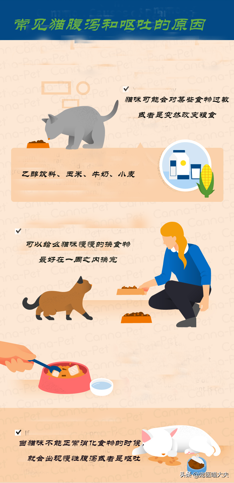 猫咪呕吐拉稀是怎么回事？了解猫咪身体健康常识（猫咪健康保健知识）