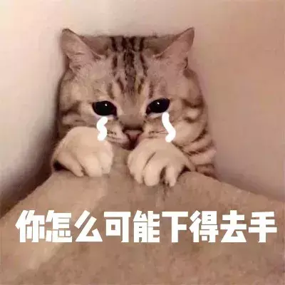 梦见小猫崽是什么意思,是什么预兆 女性（解读小猫崽出现在梦中的意义）