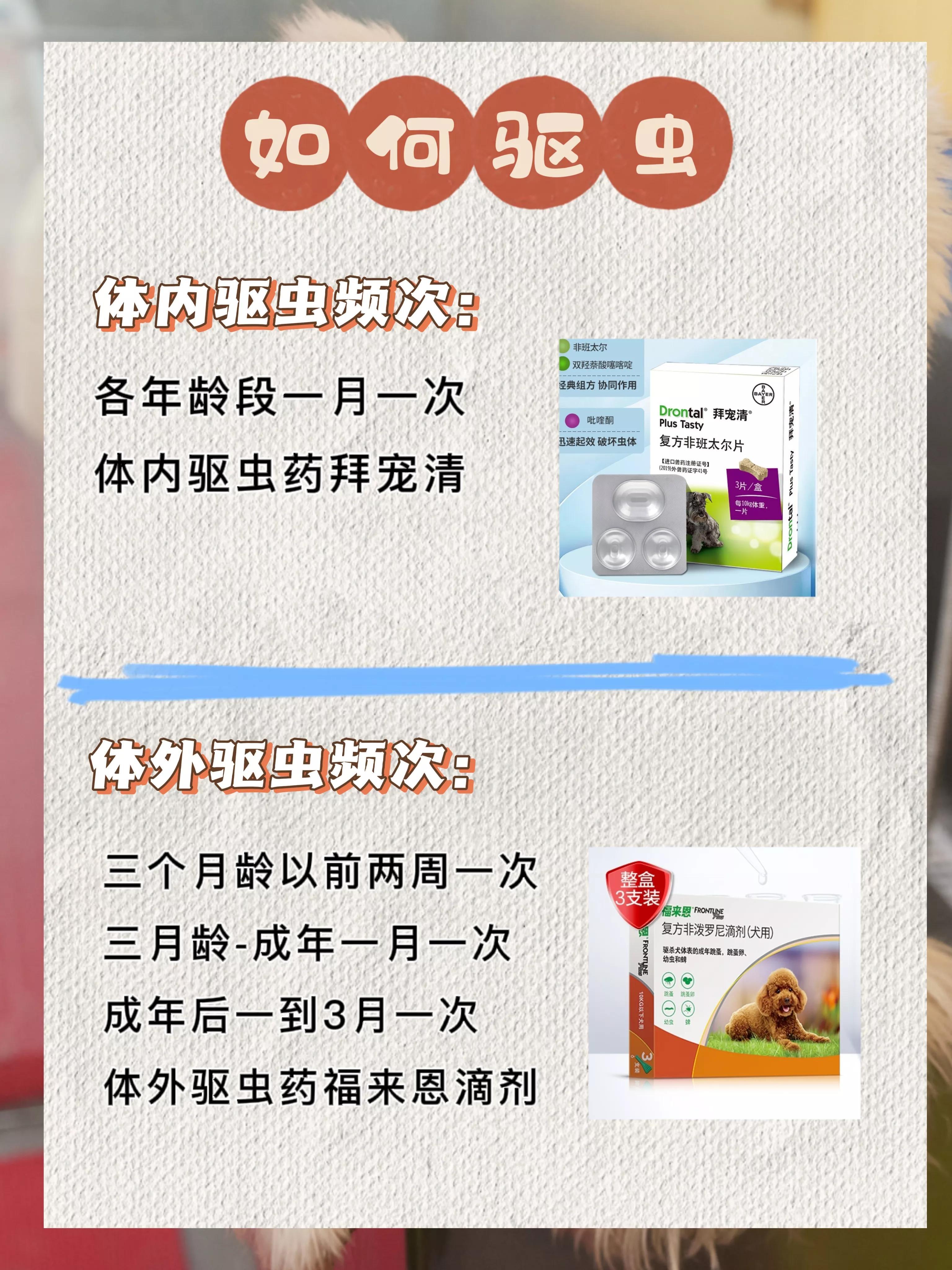 狗狗打疫苗前一天可以洗澡吗有影响吗,狗刚洗完澡可以打疫苗吗