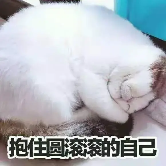 猫咪应激反应的表现什么时候开始,怎么缓解,怎么安抚