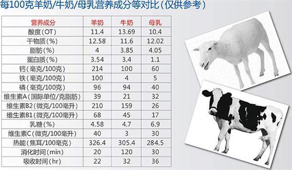 幼猫能喝牛奶吗？(了解幼猫适宜的饮品推荐)