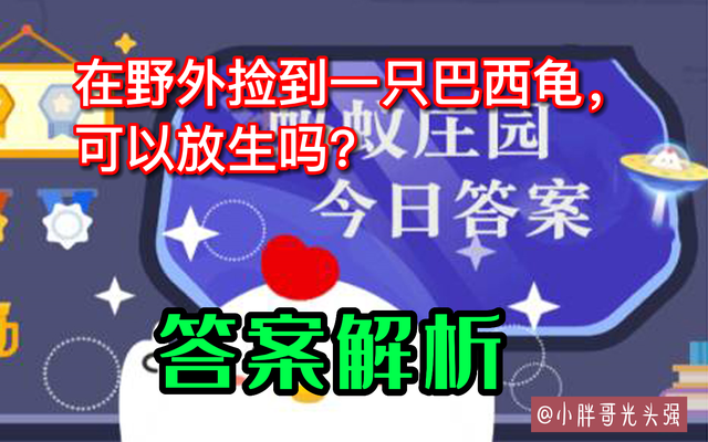 宠物巴西龟可以放生吗有讲究吗,巴西龟怎么放生才正确又简单